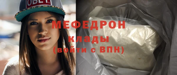 spice Богородск