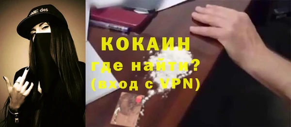 spice Богородск