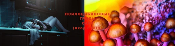 каннабис Богданович