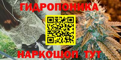 СК Апшеронск