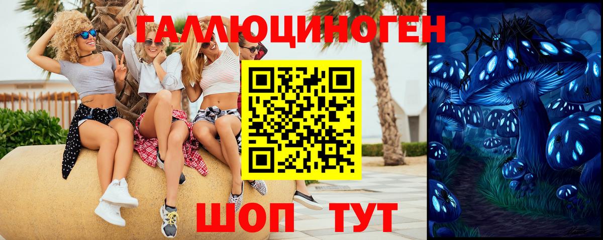 Галлюциногенные грибы мицелий Кондопога