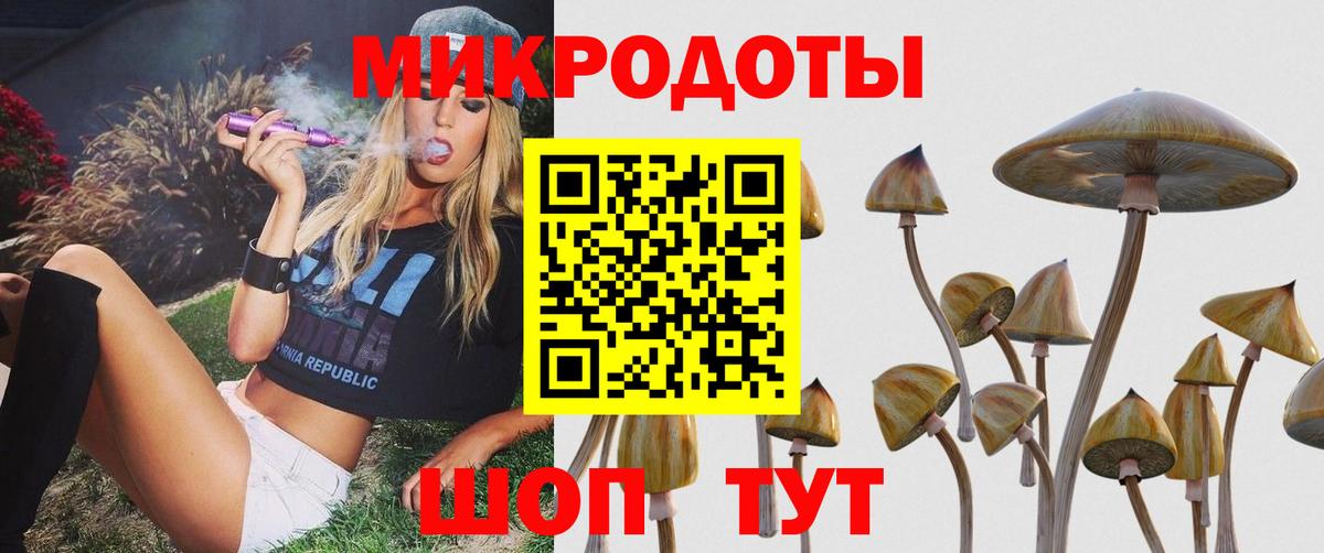 Галлюциногенные грибы Magic Shrooms Кондопога